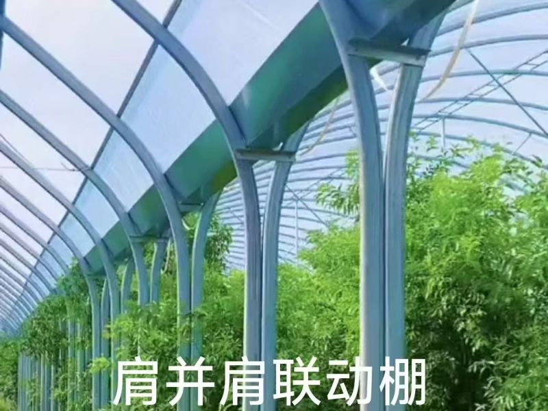 热镀锌椭圆管日光温室