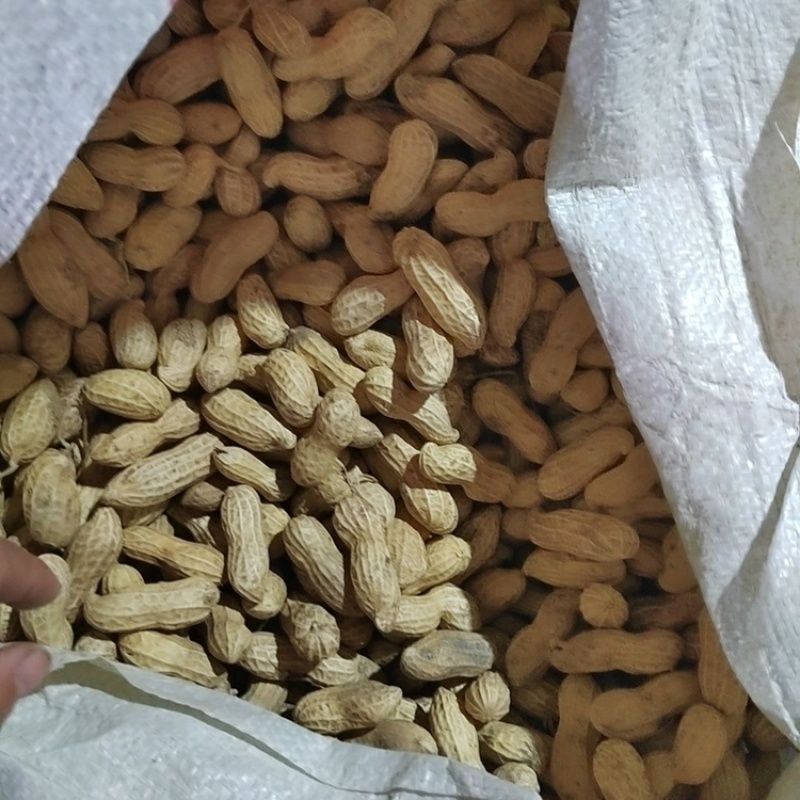 富硒带壳黑花生