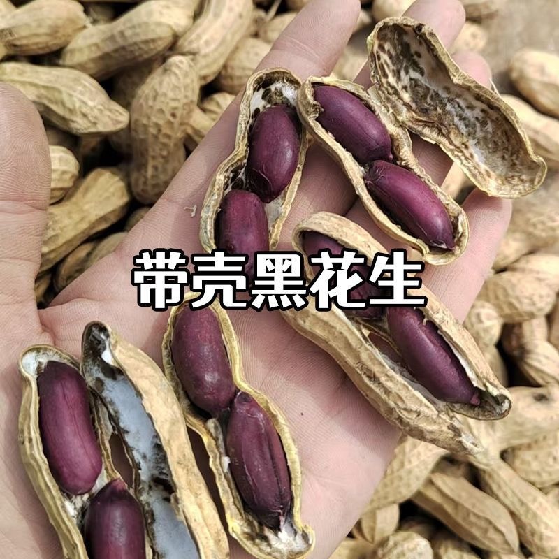 富硒带壳黑花生