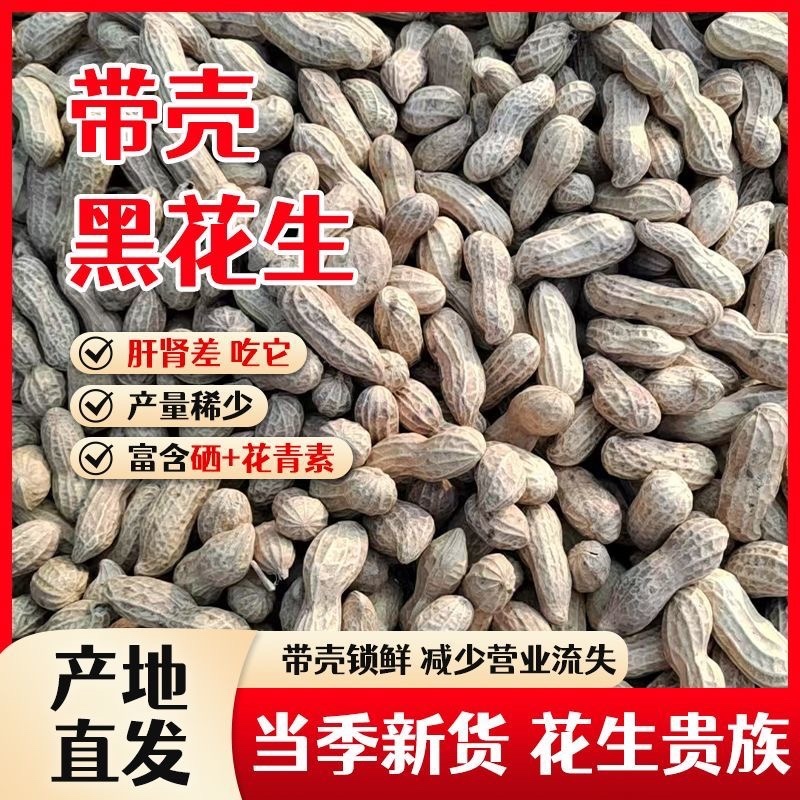富硒带壳黑花生