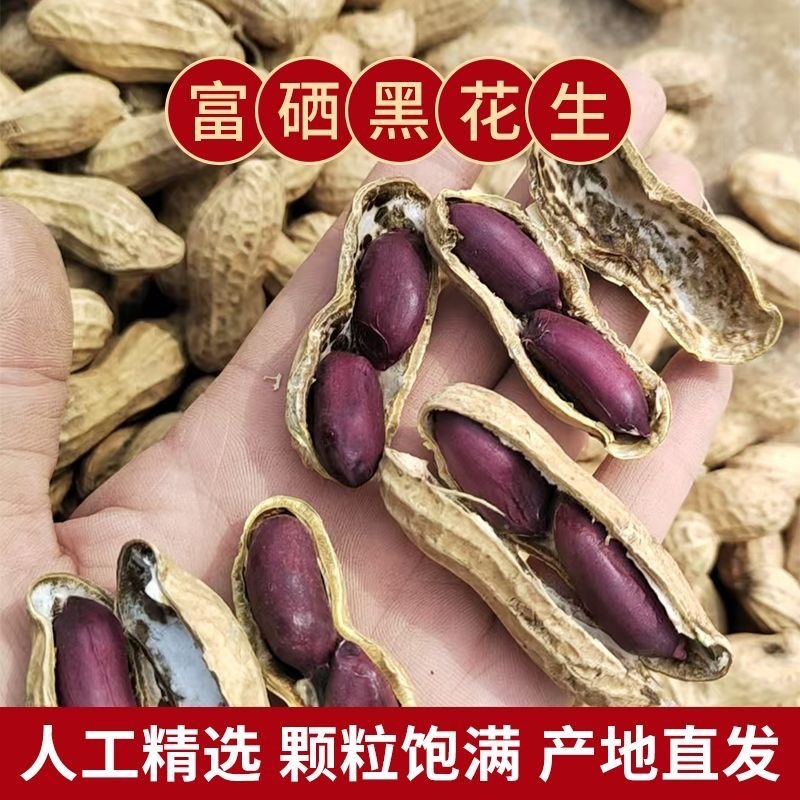 富硒带壳黑花生