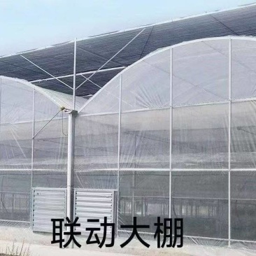 薄膜联动