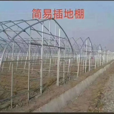 简易插地棚，西瓜棚，草莓棚及菌棚