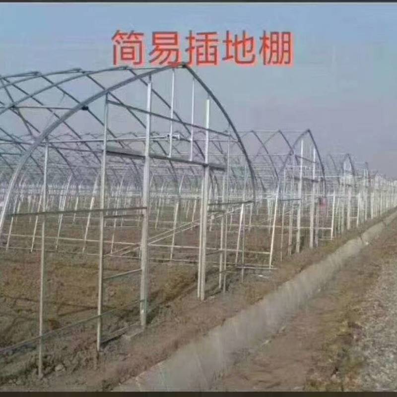 简易插地棚，西瓜棚，草莓棚及菌棚