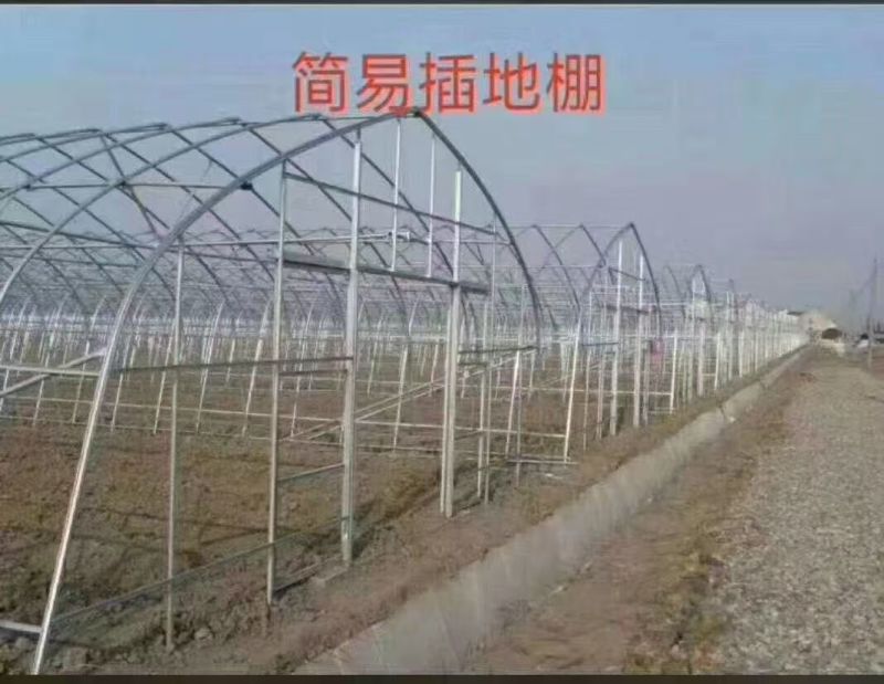 简易插地棚，西瓜棚，草莓棚及菌棚