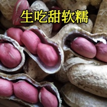 水果花生甜水果花生