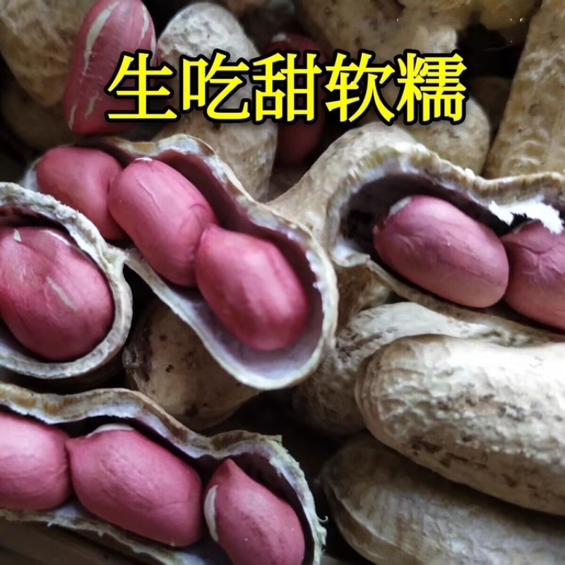 水果花生甜水果花生