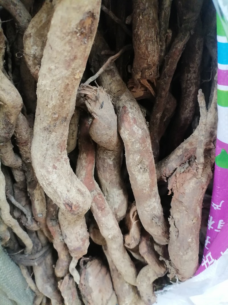 野生土杜仲藤杜仲现货批发可视频看货