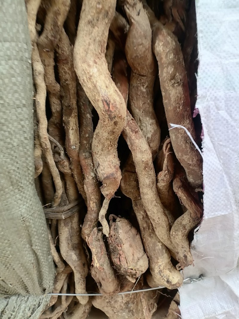 野生土杜仲藤杜仲现货批发可视频看货