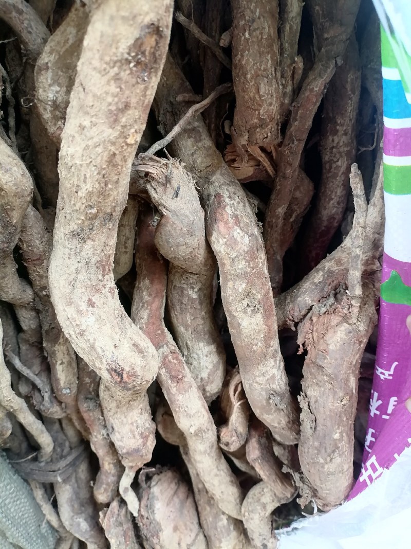野生土杜仲藤杜仲现货批发可视频看货