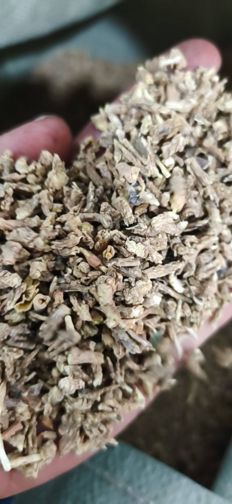 远志。各种规格，货真价实，可打粉。。。。