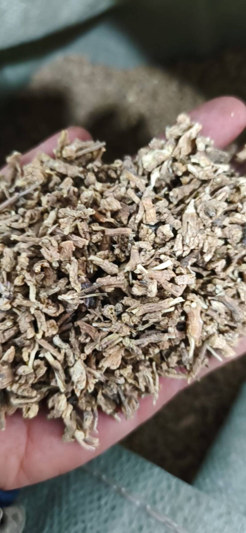 远志。各种规格，货真价实，可打粉。。。。
