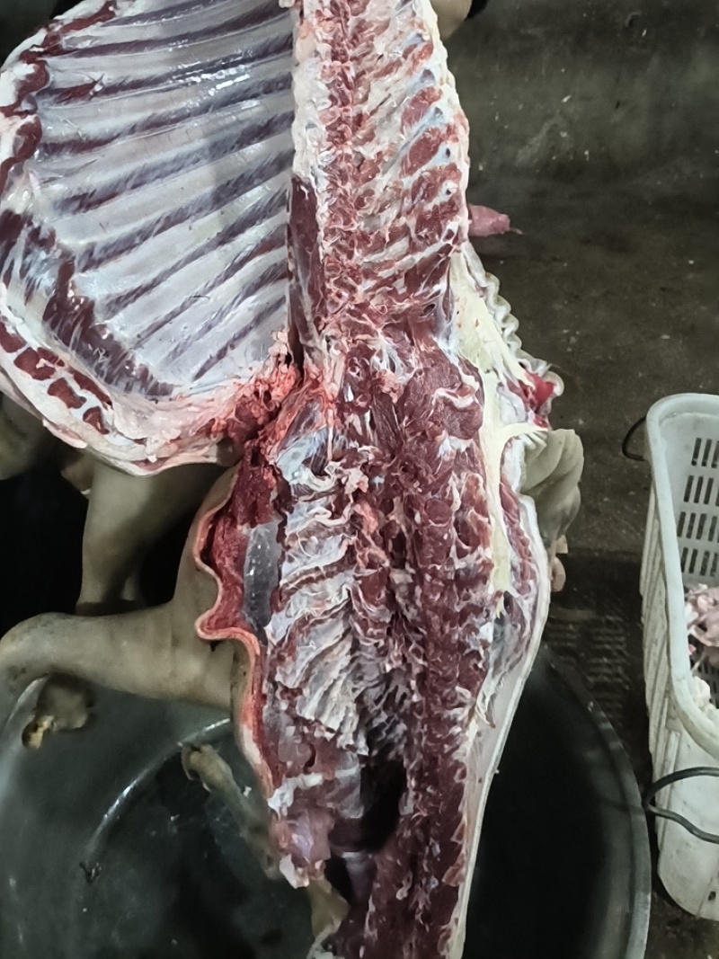 常年黑山羊肉拱应