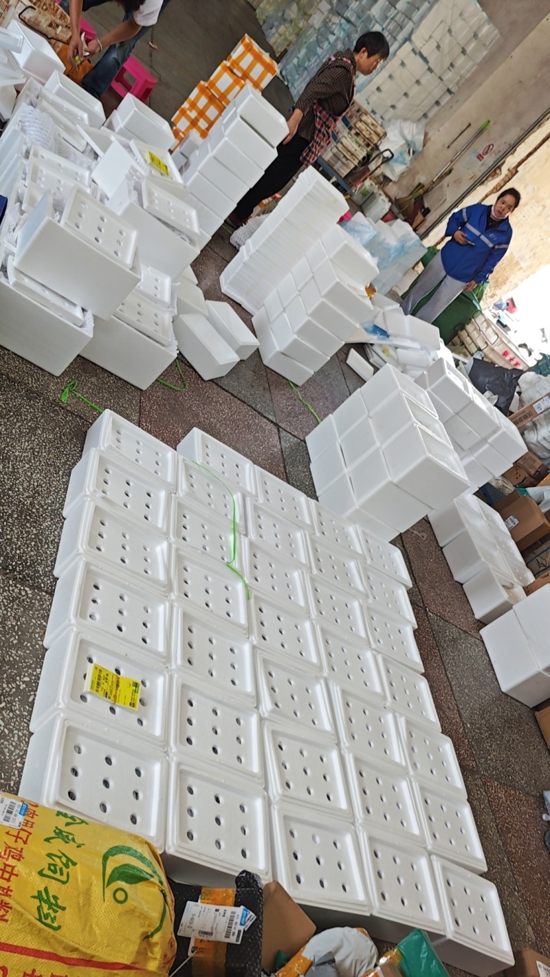 拖桃专用小毛桃，支持中小个体户快递发货到家