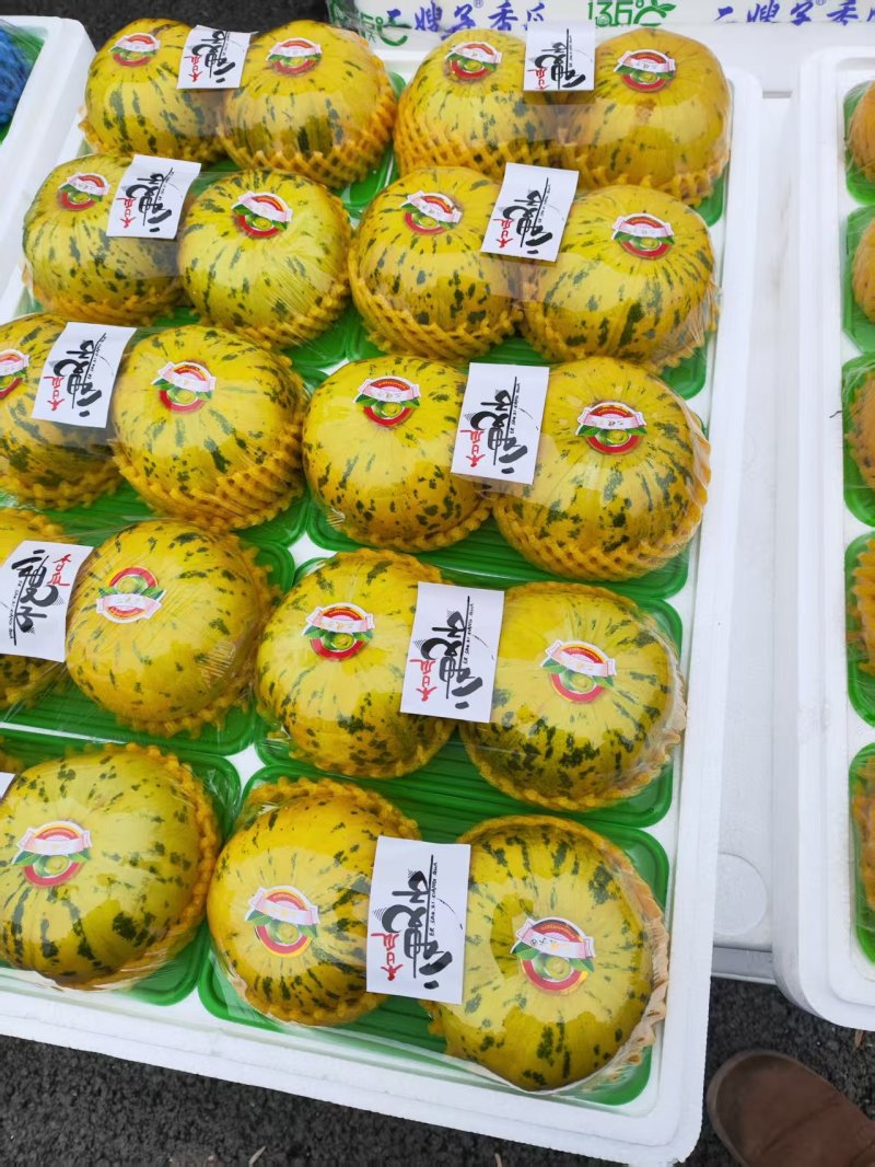 花蕾甜瓜精品甜瓜大量供应莘县甜瓜可视频看货欢迎来