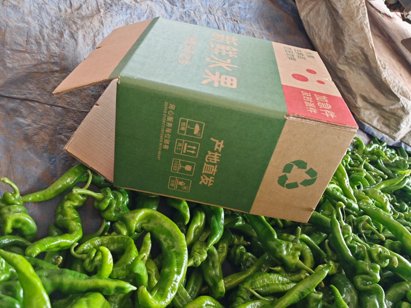 陇椒