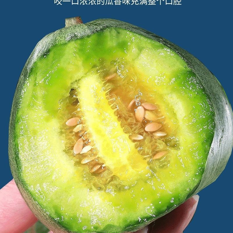 绿宝甜瓜精品甜瓜莘县甜瓜大量供应可视频看货欢迎来电