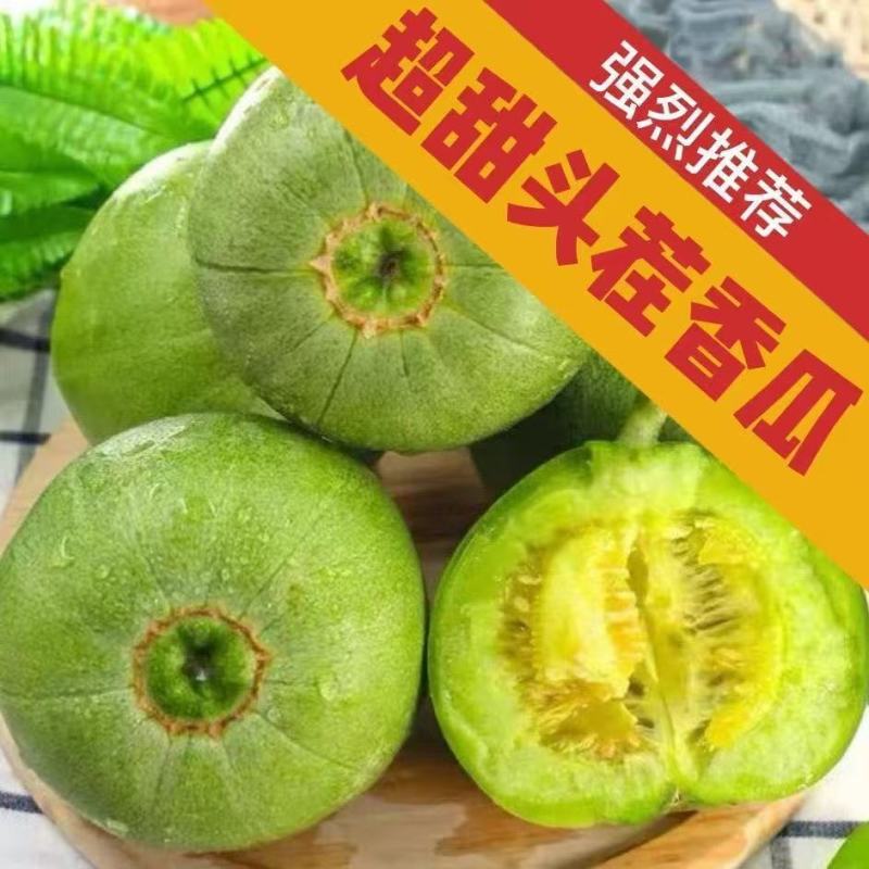 绿宝甜瓜精品甜瓜莘县甜瓜大量供应可视频看货欢迎来电