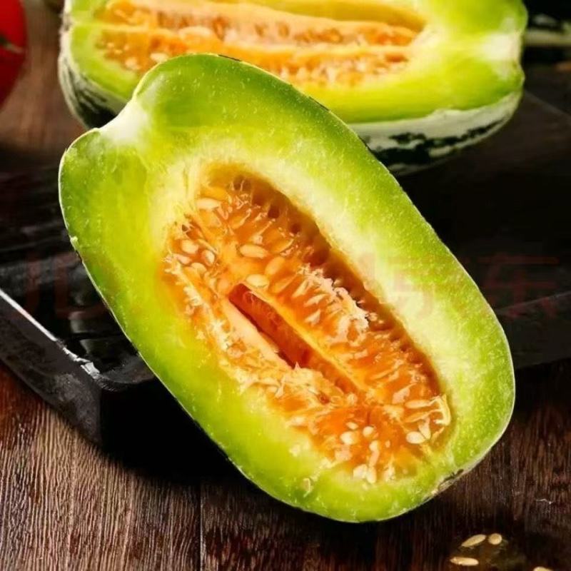 博洋九号博洋9号甜瓜大量供应可视频看货欢迎来电采购洽