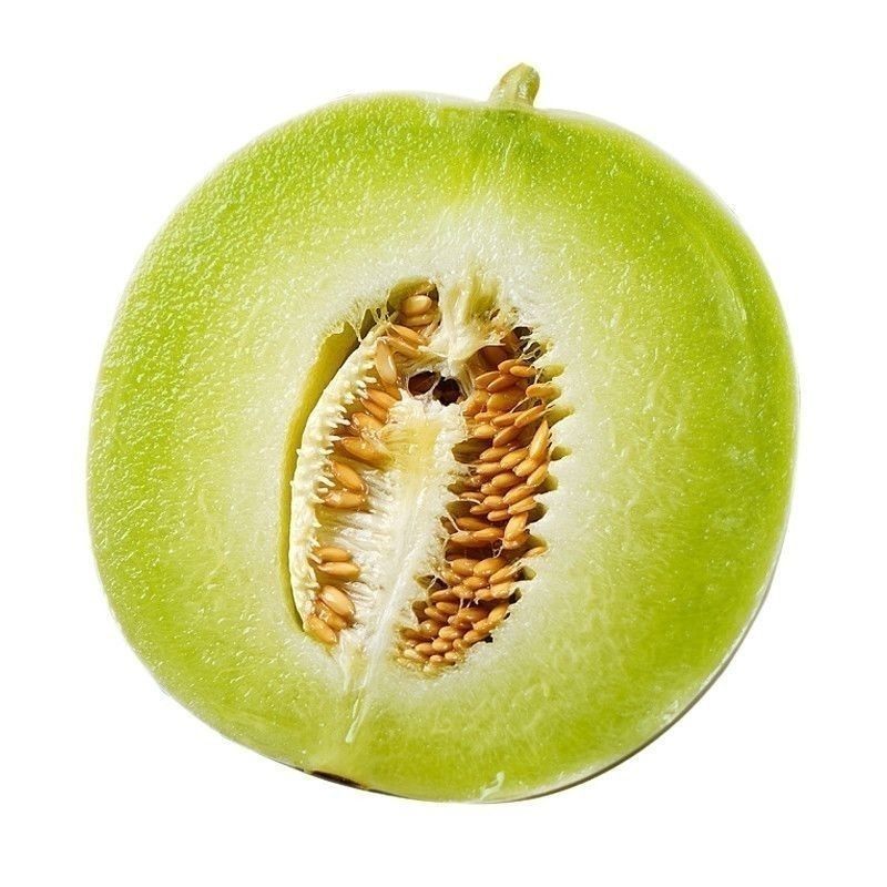 玉菇甜瓜香瓜厚皮精品甜瓜大量供应可视频看货欢迎来