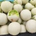 玉菇甜瓜香瓜厚皮精品甜瓜大量供应可视频看货欢迎来