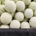 玉菇甜瓜香瓜厚皮精品甜瓜大量供应可视频看货欢迎来