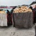 红金蜜甜瓜东方一号甜瓜大量供应厚皮甜瓜欢迎来电采购