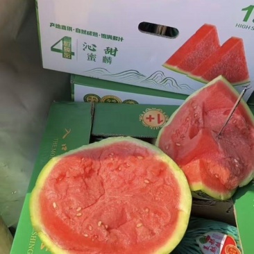 云南省盈江县麒麟美都，无籽