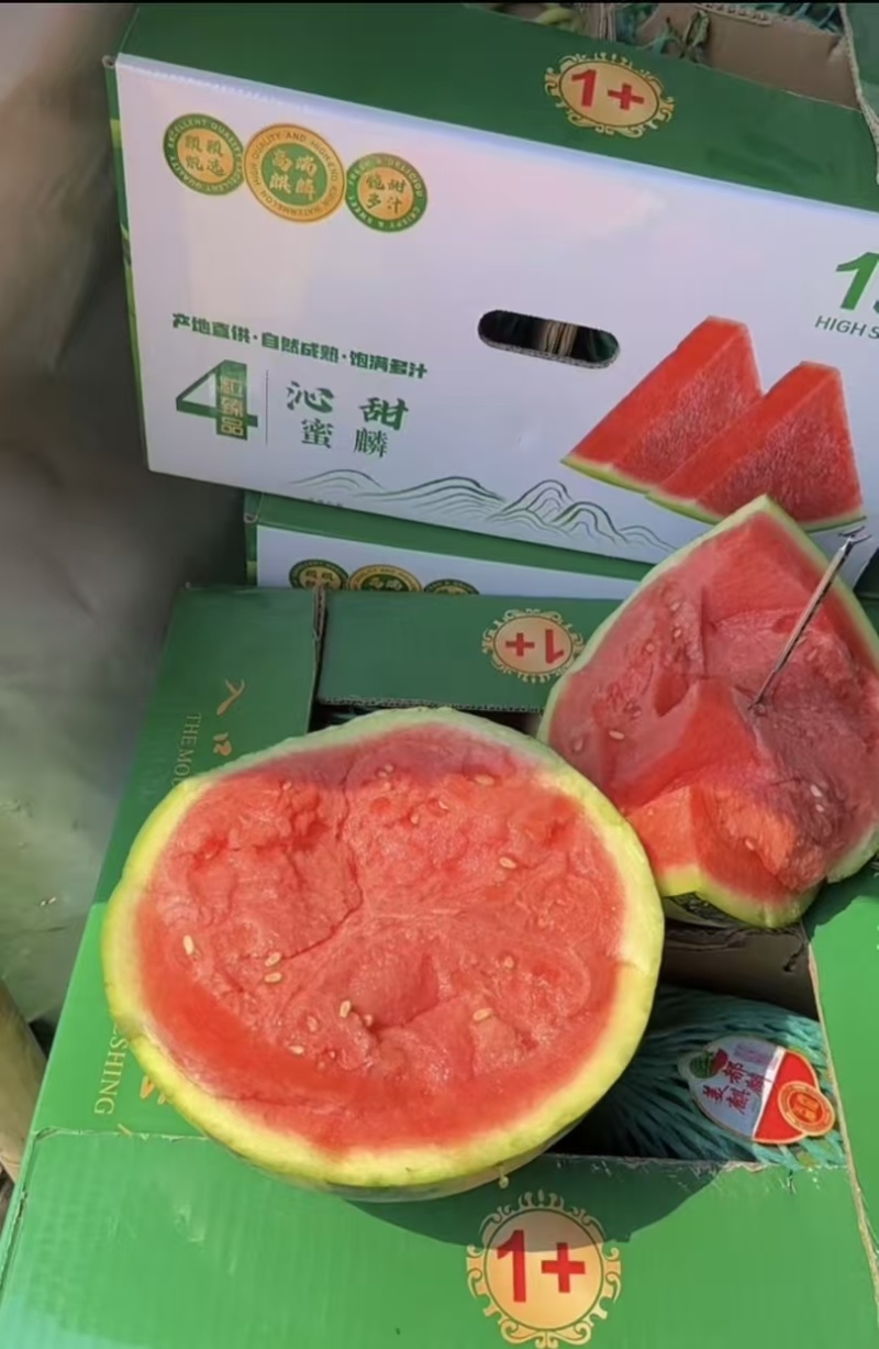 云南省盈江县麒麟美都，无籽