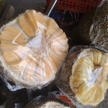 广西南宁菠萝蜜青皮1号大量有货，货源充足，量大从优