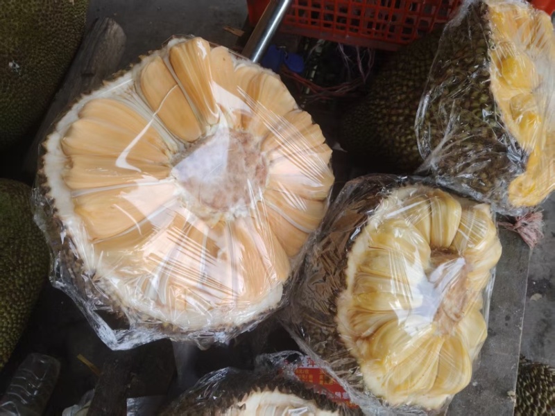 广西南宁菠萝蜜青皮1号大量有货，货源充足，量大从优