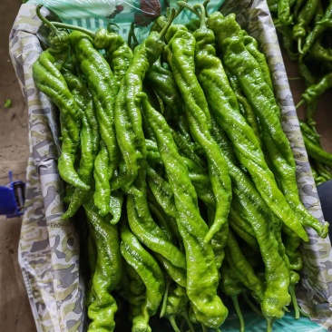 螺丝椒