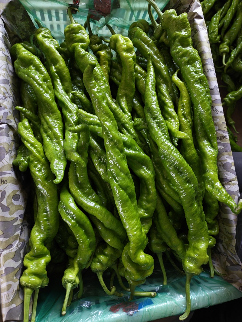 螺丝椒