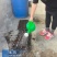 育苗基质，营养土