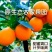 精品中华红橙大量走货中口感甜颜色红果肉细腻农户一手货源