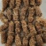 竹笋虫虫茧竹虫茧货量充足价格实惠量大从优