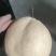 山东莱阳山农酥梨