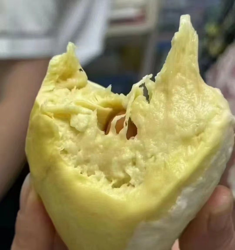 金枕榴莲一手货源，批发价格，坏果包赔