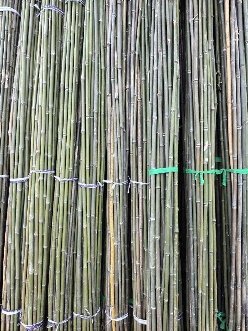 竹竿蔬菜爬藤架菜园搭架黄瓜豆角番茄支撑篱笆栅栏小竹子爬藤
