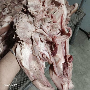 半成品猪头肉
