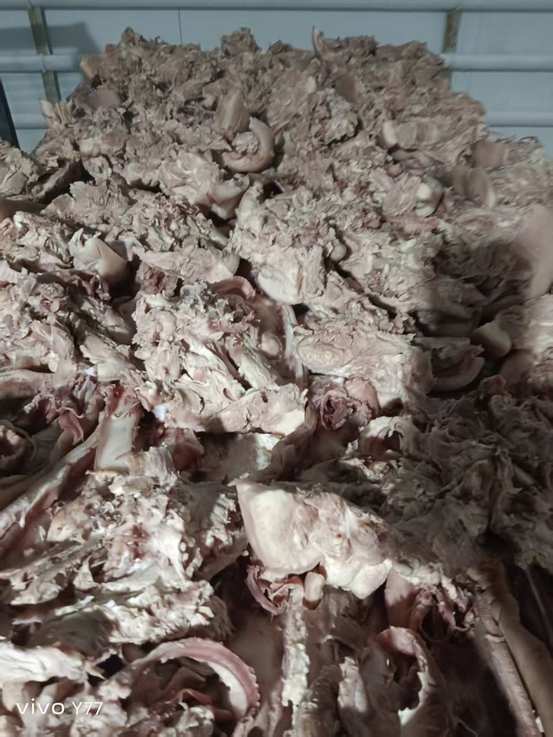 半成品猪头肉