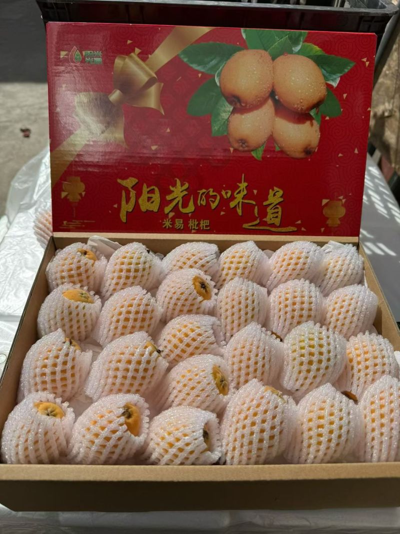 四川省攀枝花米易早中枇杷
