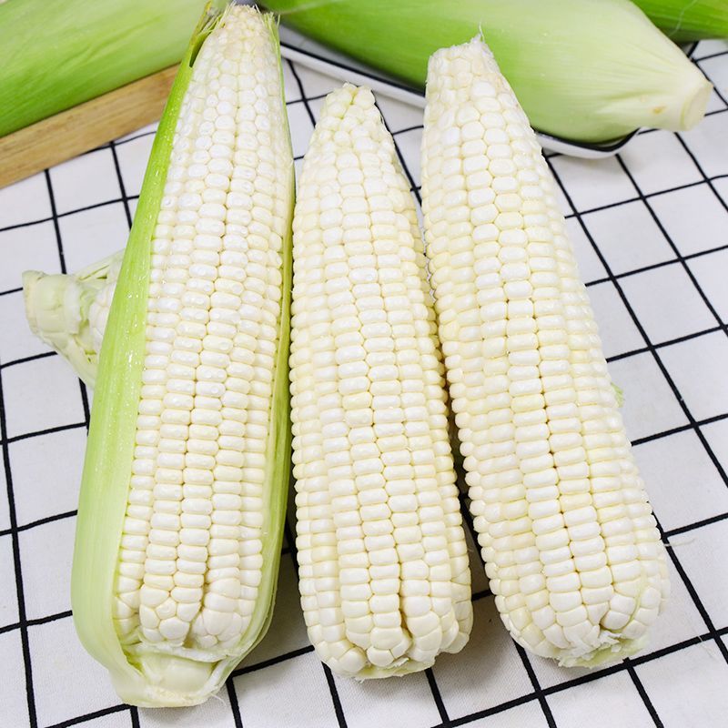 甜糯玉米