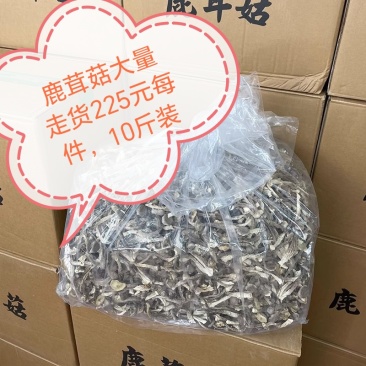 鹿茸菇