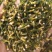 《莲子芯》无硫磺新货精品莲子芯质优价廉