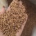 《炒谷芽》谷芽干净无杂质正品谷芽