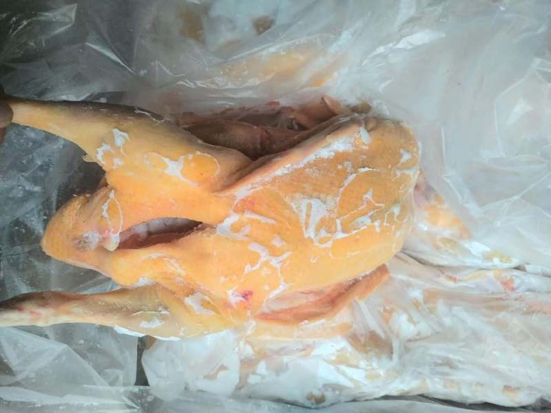 现杀黄皮黄油番鸭红头雁
