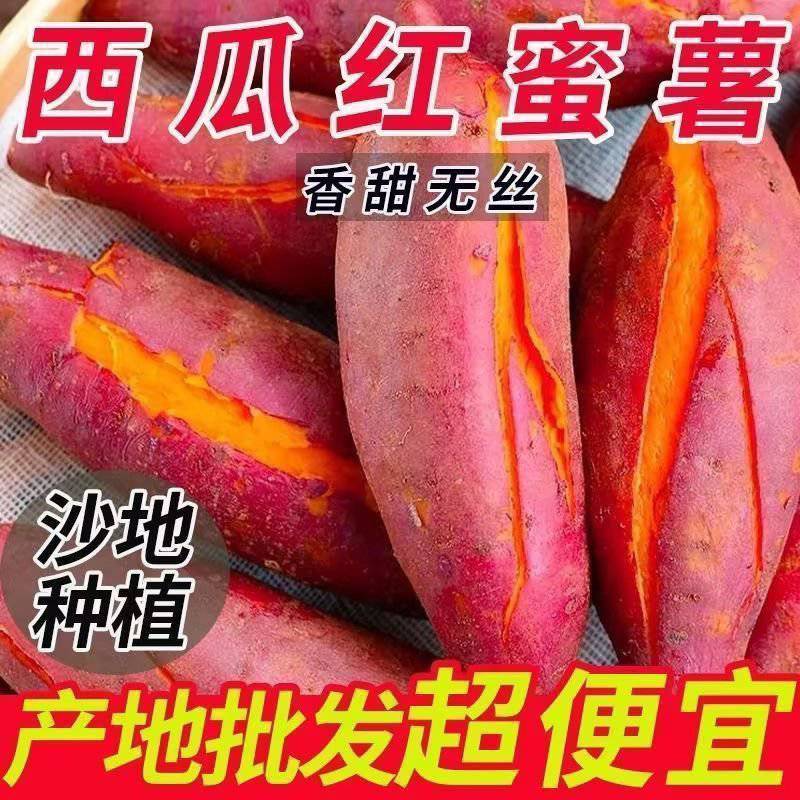 【山东西瓜红薯】临沂西瓜红/山东地瓜/电商团购便宜
