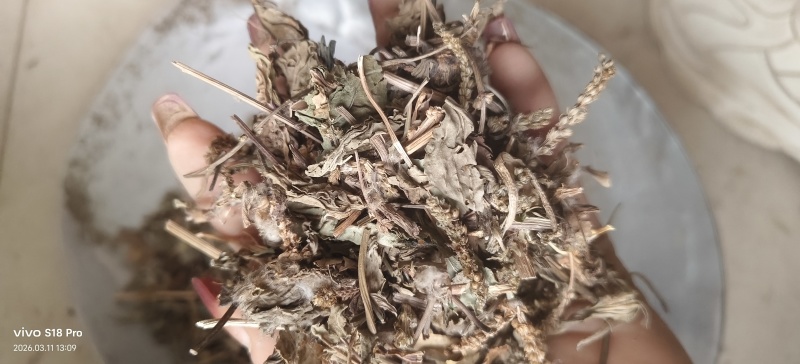 《车前草》野生车钱草干净无杂质
