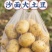 【黄心土豆】山东土豆/V7土豆/希森土豆/品质齐全价格优